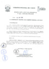 Vista preliminar de documento Resolución Ejecutiva Regional