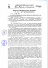 Vista preliminar de documento Resolución Directoral Regional