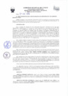 Vista preliminar de documento Resolución Directoral Regional