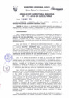 Vista preliminar de documento Resolución Directoral Regional