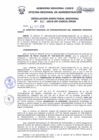 Vista preliminar de documento Resolución Directoral Regional