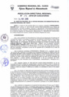 Vista preliminar de documento Resolución Directoral Regional