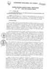 Vista preliminar de documento Resolución Directoral Regional