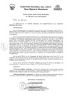 Vista preliminar de documento Resolución Directoral Regional