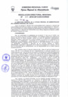 Vista preliminar de documento Resolución Directoral Regional