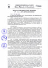 Vista preliminar de documento Resolución Directoral Regional
