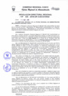 Vista preliminar de documento Resolución Directoral Regional