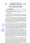 Vista preliminar de documento Resolución Directoral Regional
