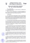 Vista preliminar de documento Resolución Directoral Regional