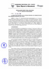 Vista preliminar de documento Resolución Directoral Regional