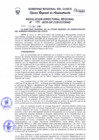 Vista preliminar de documento Resolución Directoral Regional