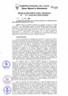 Vista preliminar de documento Resolución Directoral Regional