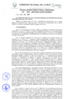 Vista preliminar de documento Resolución Directoral Regional