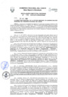 Vista preliminar de documento Resolución Directoral Regional