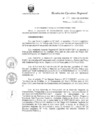 Vista preliminar de documento R.E.R. Nro 263-2020-GR-GR PUNO