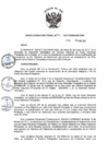 Vista preliminar de documento RD N 30