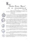 Vista preliminar de documento 51151_RER-295-2018