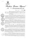 Vista preliminar de documento 87634_RER-324-2018