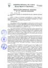 Vista preliminar de documento Resolución Gerencial Regional