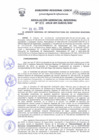 Vista preliminar de documento Resolución Gerencial Regional