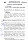 Vista preliminar de documento Resolución Gerencial Regional