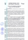 Vista preliminar de documento Resolución Gerencial Regional
