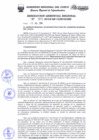 Vista preliminar de documento Resolución Gerencial Regional