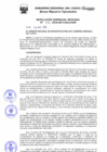 Vista preliminar de documento Resolución Gerencial Regional