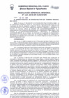 Vista preliminar de documento Resolución Gerencial Regional