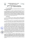 Vista preliminar de documento Resolución Gerencial Regional