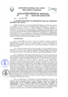 Vista preliminar de documento Resolución Gerencial Regional