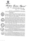 Vista preliminar de documento 1045043_RER-373-2018