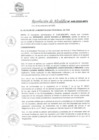 Vista preliminar de documento RA_448-2020-MPV