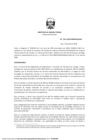 Vista preliminar de documento ResDirec-0101-2020-MINEM-DGAAE