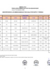 Vista preliminar de documento ANEXO_RA_054_2020