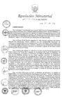 Vista preliminar de documento RM N° 313-2019-MINEDU