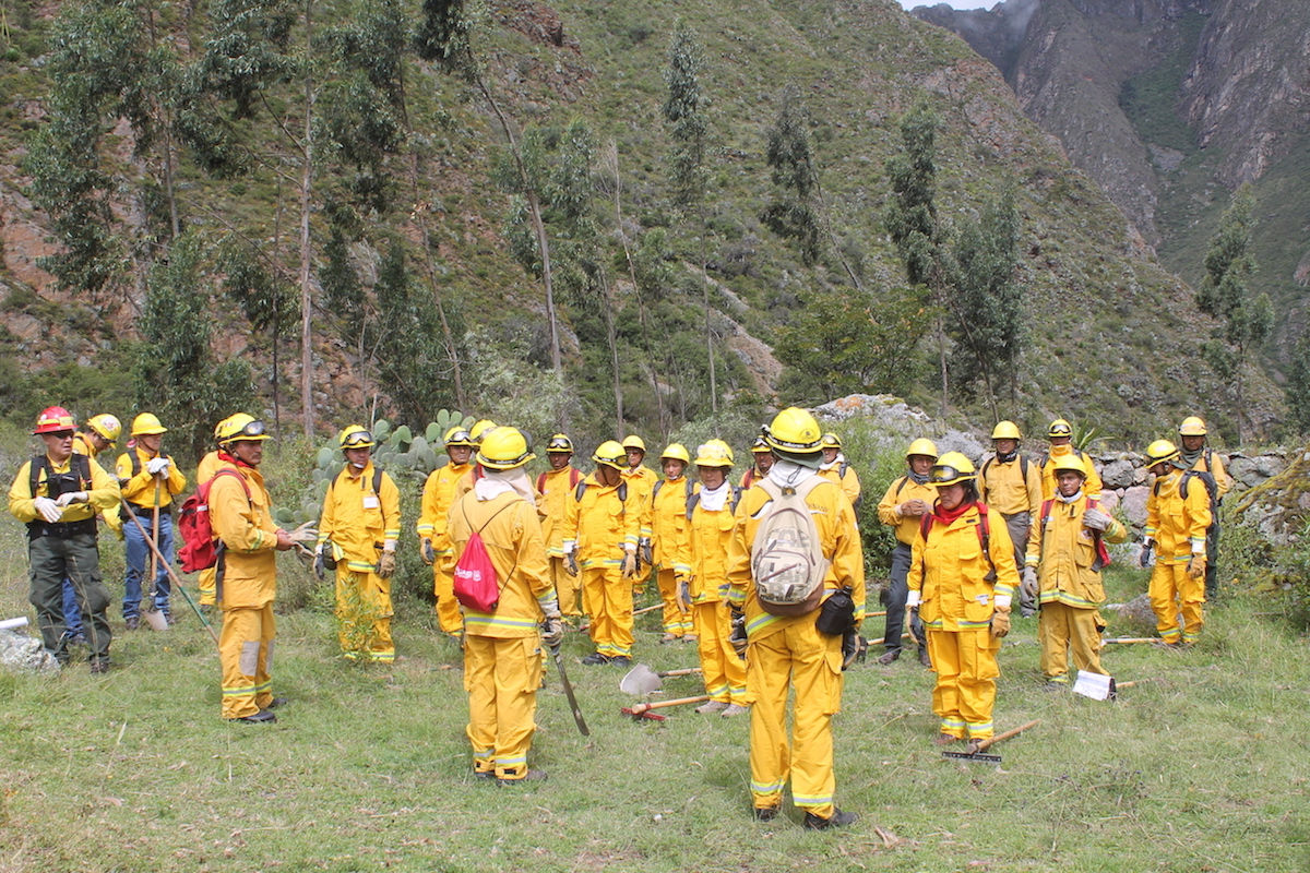 FOREST SERVICE USA