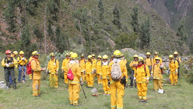 FOREST SERVICE USA
