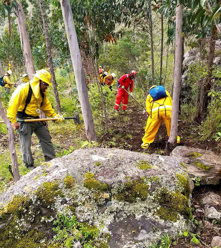 FOREST SERVICE USA