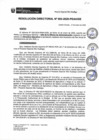 Vista preliminar de documento Resolucion Directoral 3