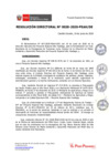 Vista preliminar de documento Resolucion Directoral 28