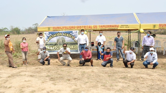 Productores de arroz de Madre de Dios se benefician con el PROCOMPITE.