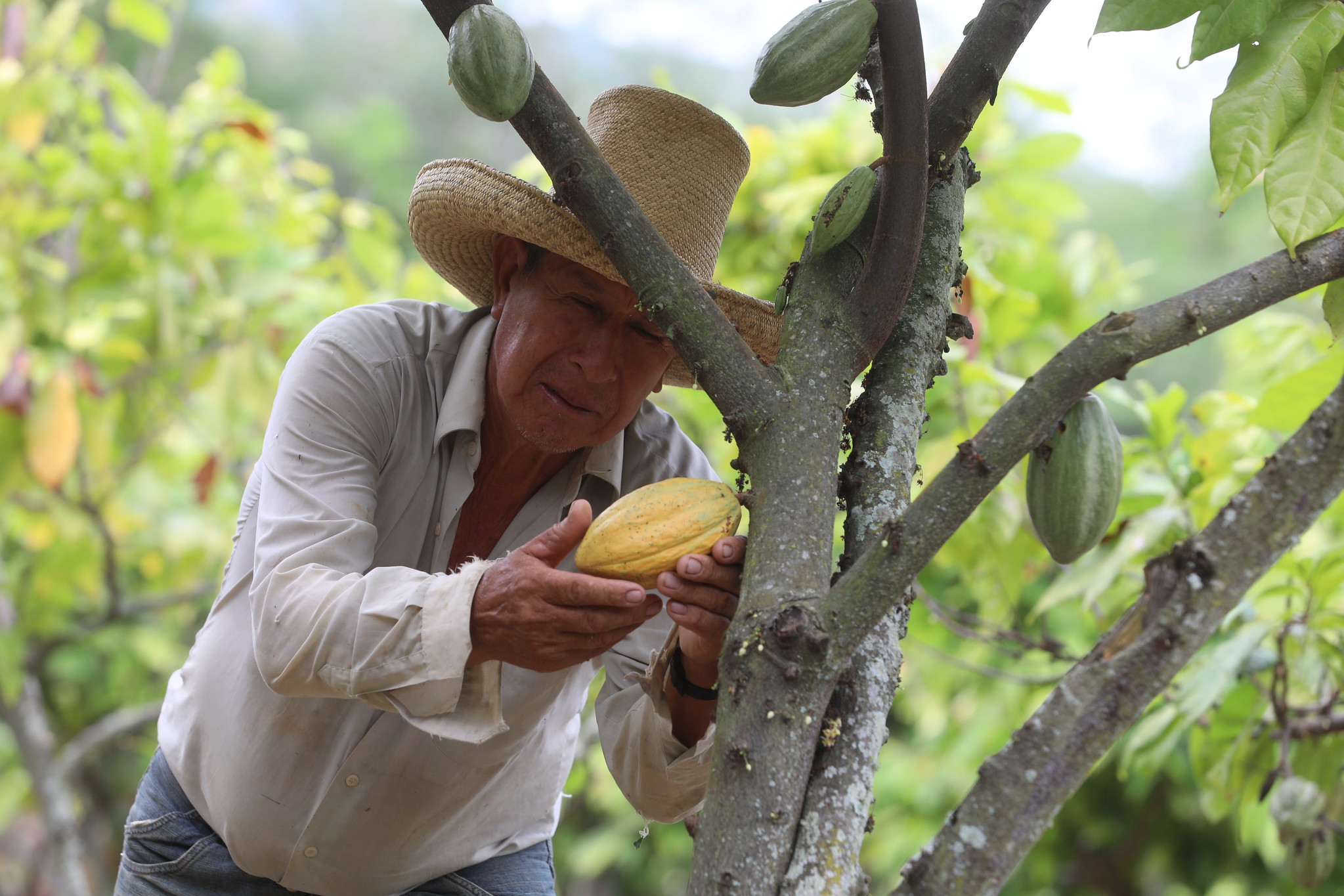 Peru noticias