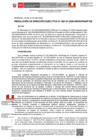 Vista preliminar de documento RDE 101