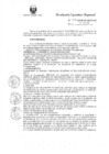 Vista preliminar de documento R.E.R. Nro 270-2020-GR-GR PUNO