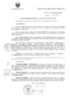 Vista preliminar de documento R.E.R. Nro 272-2020-GR-GR PUNO