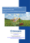 Vista preliminar de documento Osinergmin GPAE Análisis Ecónomico 001-2017