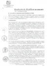 Vista preliminar de documento RA_461-2020-MPV