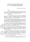 Vista preliminar de documento DIRECTIVA