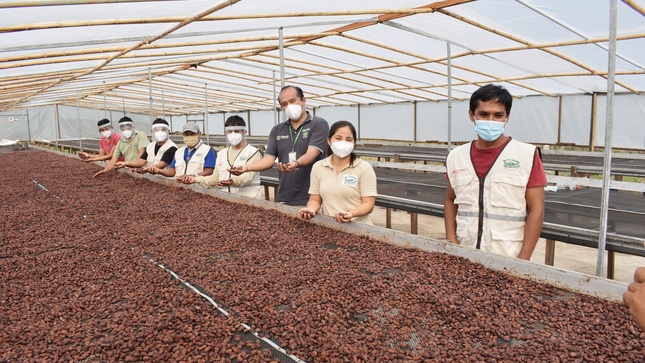 cacao en Madre de Dios